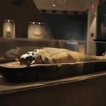 img-reading-public-museum-ancient-civilizations