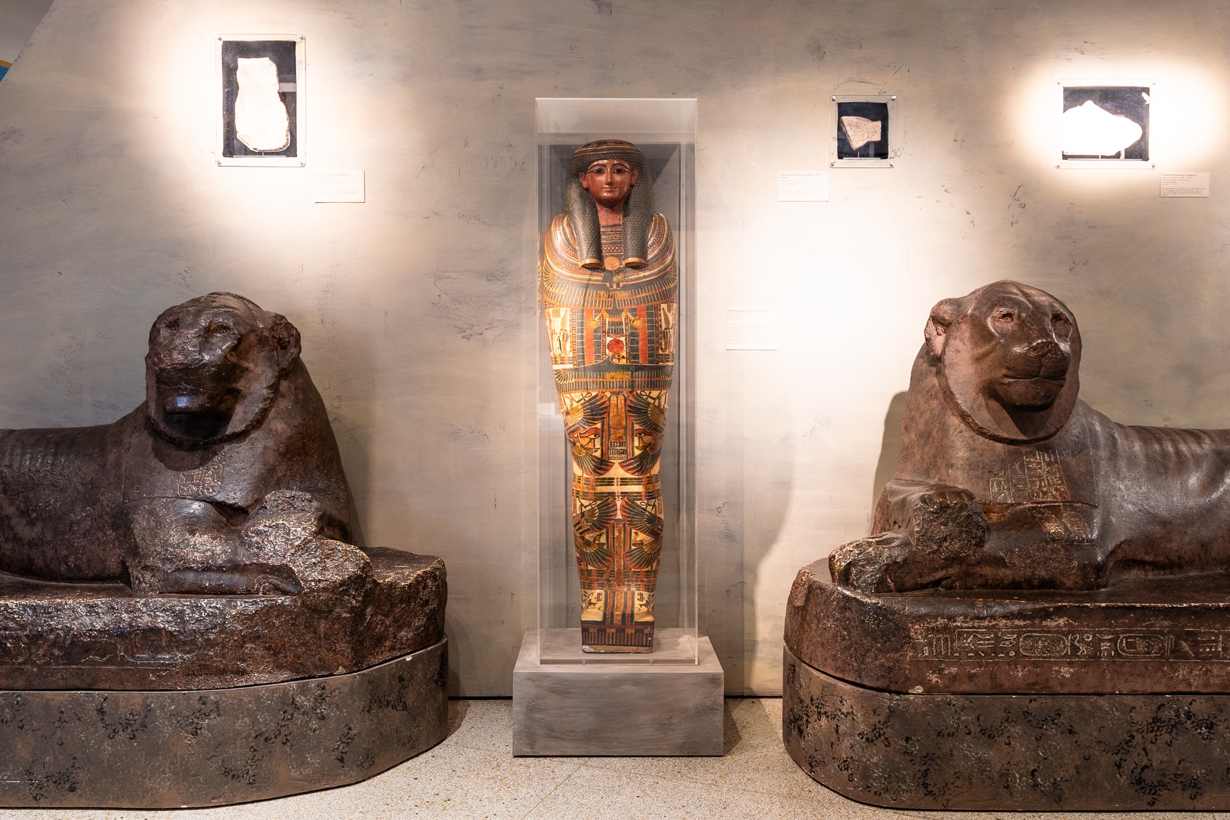 img-reading-public-museum-donate