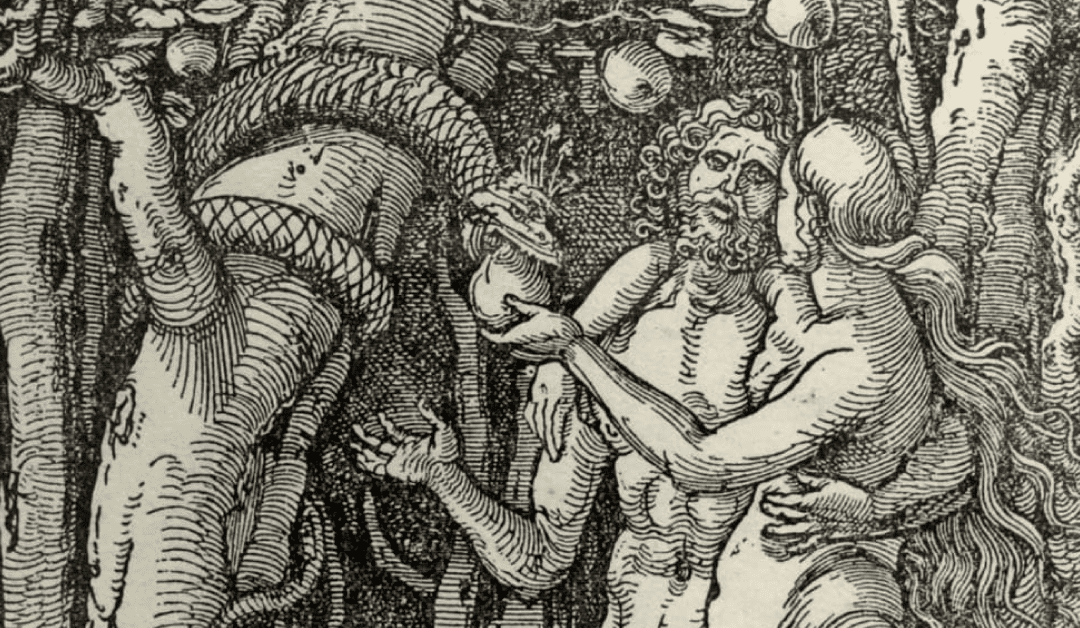 Albrecht Dürer: Master Prints