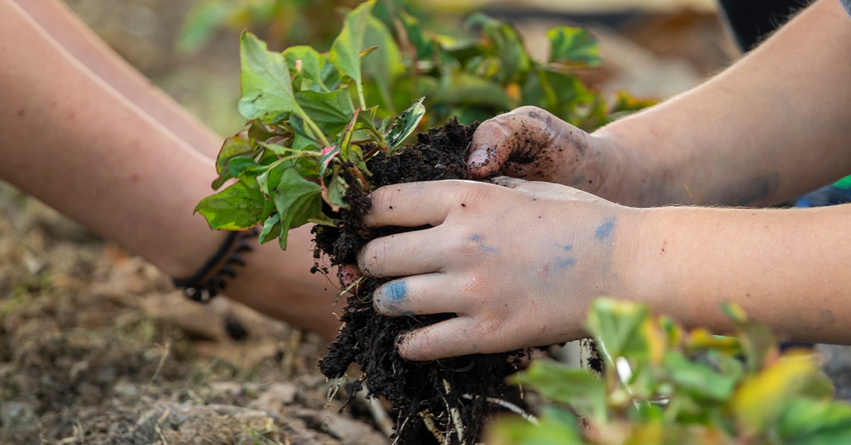 Scout Programs and Event