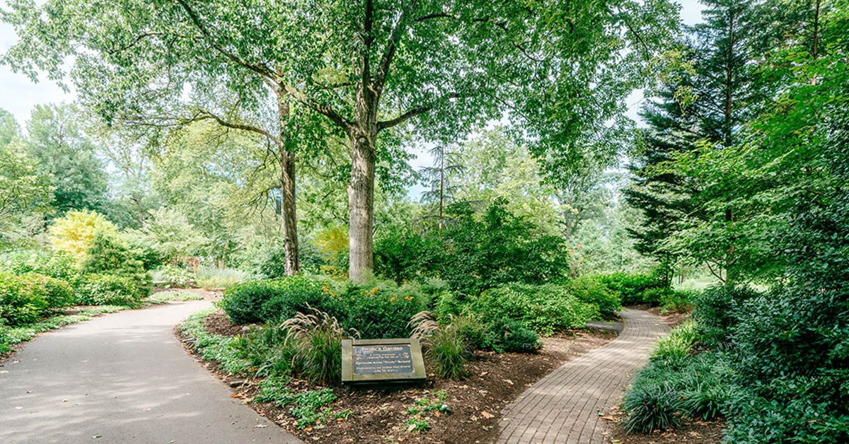 Scout Programs and Event