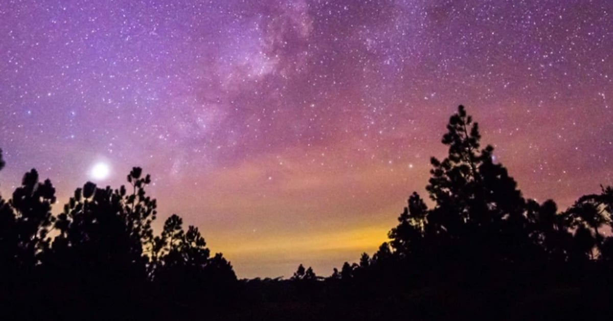 yoga-under-the-stars Yoga Under the Stars