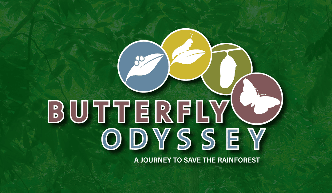Butterfly Odyssey